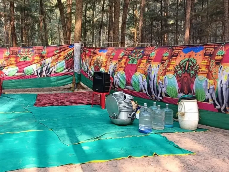 Picnic_Gallery1