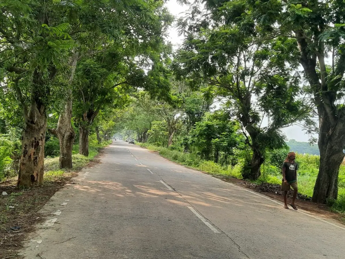 Road to Dublagadi Beach from Balasore