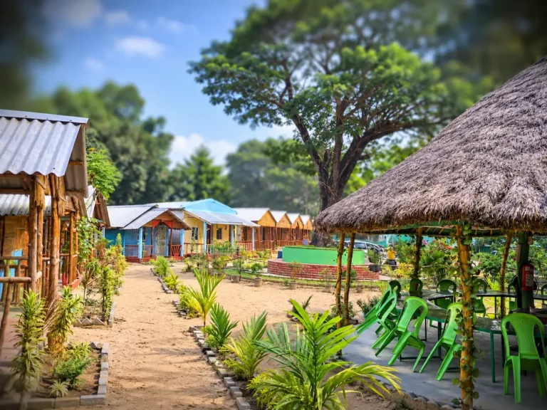 Outdoor area and cottages at Seashore Beach Camp