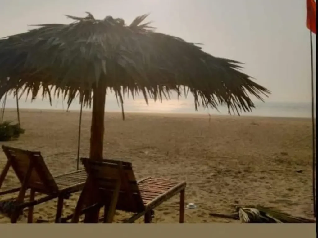 Beach seating under a thatched shelter