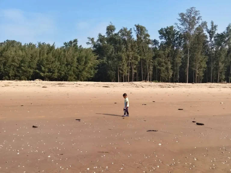 Quiet sandy beach near Dublagadi & Bagda Beach, Odisha