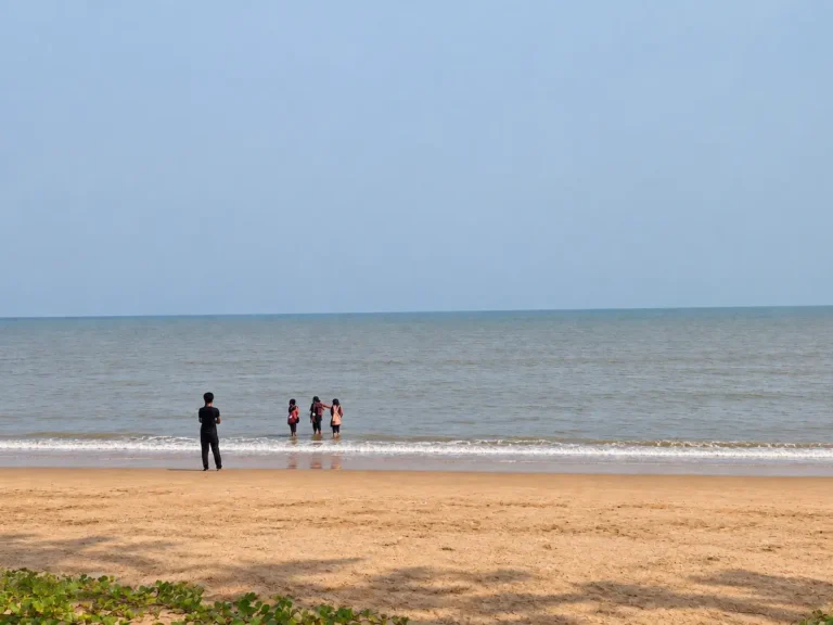 Visitors enjoying the beach at Dublagadi & Bagda Beach, Odisha