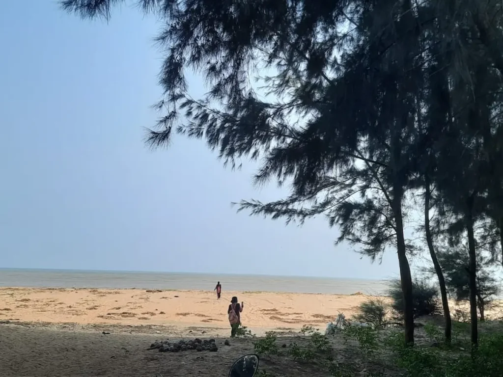 Beach and sea view with casuarina trees