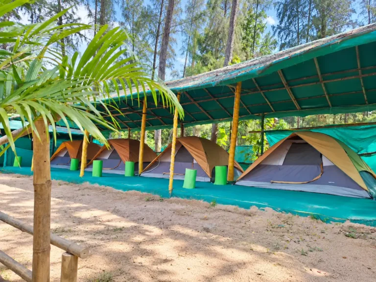 Tent accommodation at Seashore Beach Camp